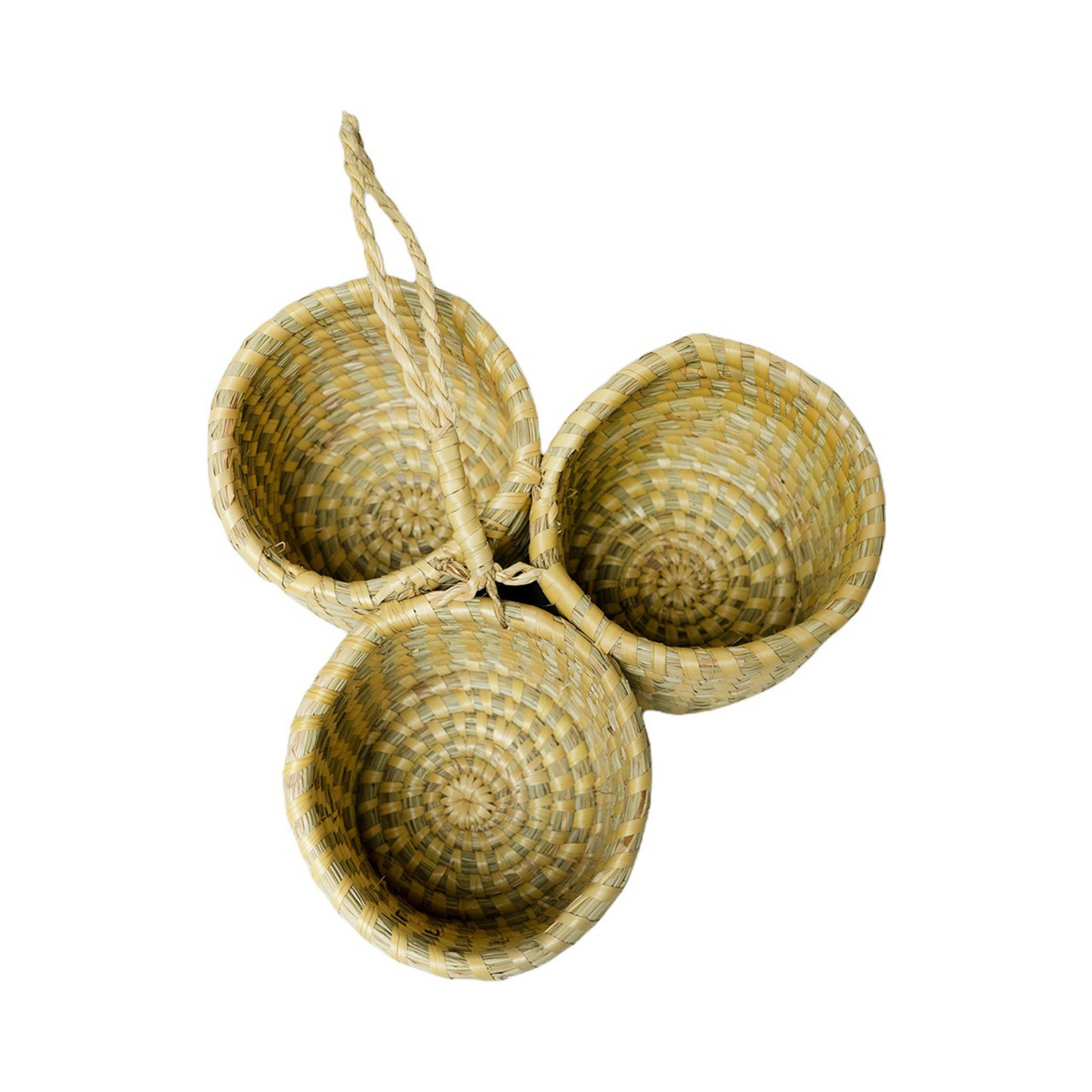 Areca Leaf Products top