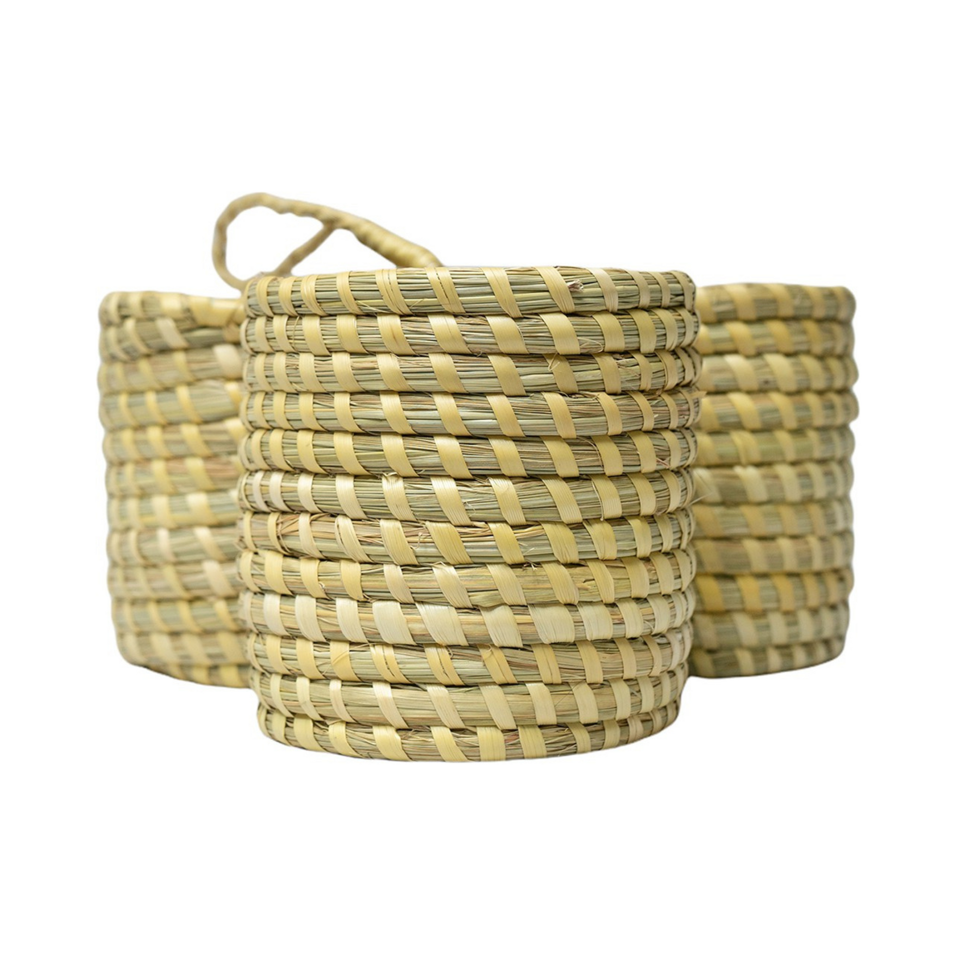 Areca Leaf Products back