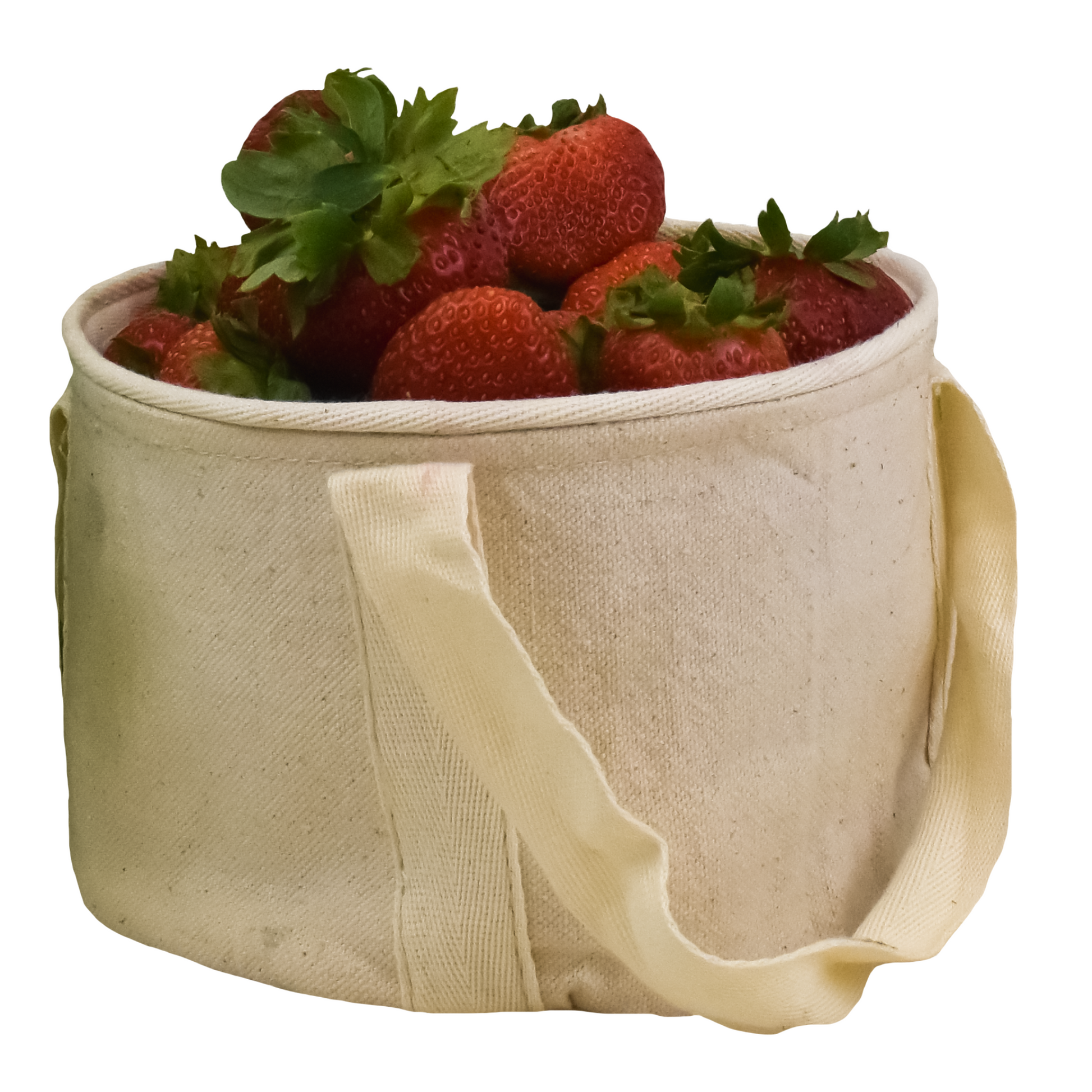 FruitsBasketCotton1