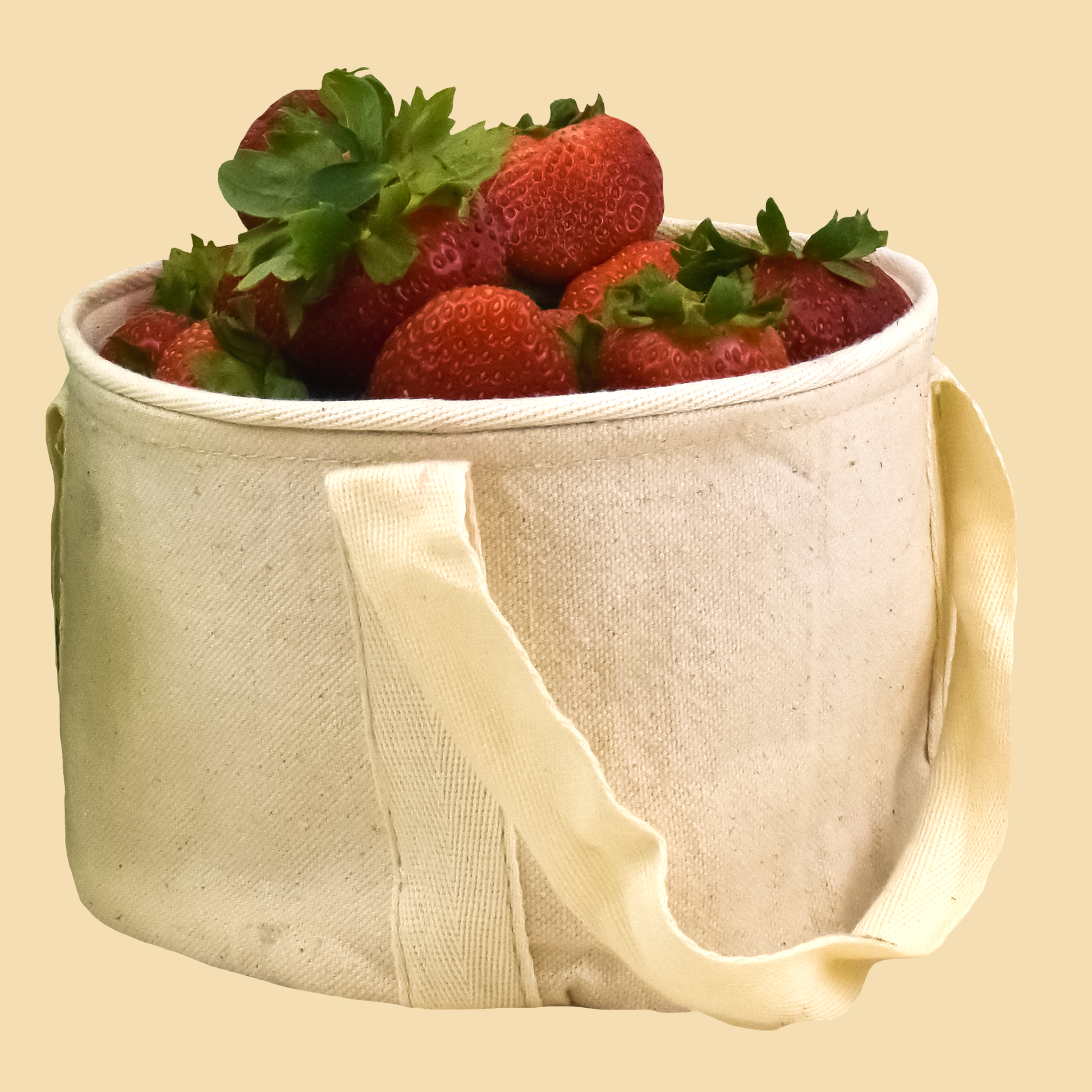 FruitsBasketCotton13