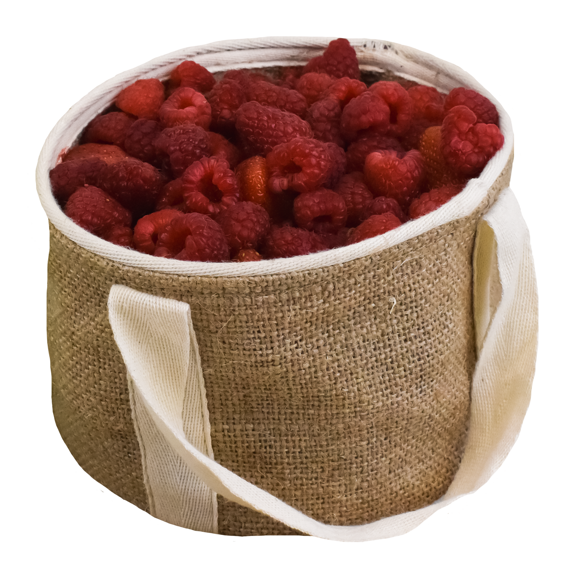 FruitsBasketJute2